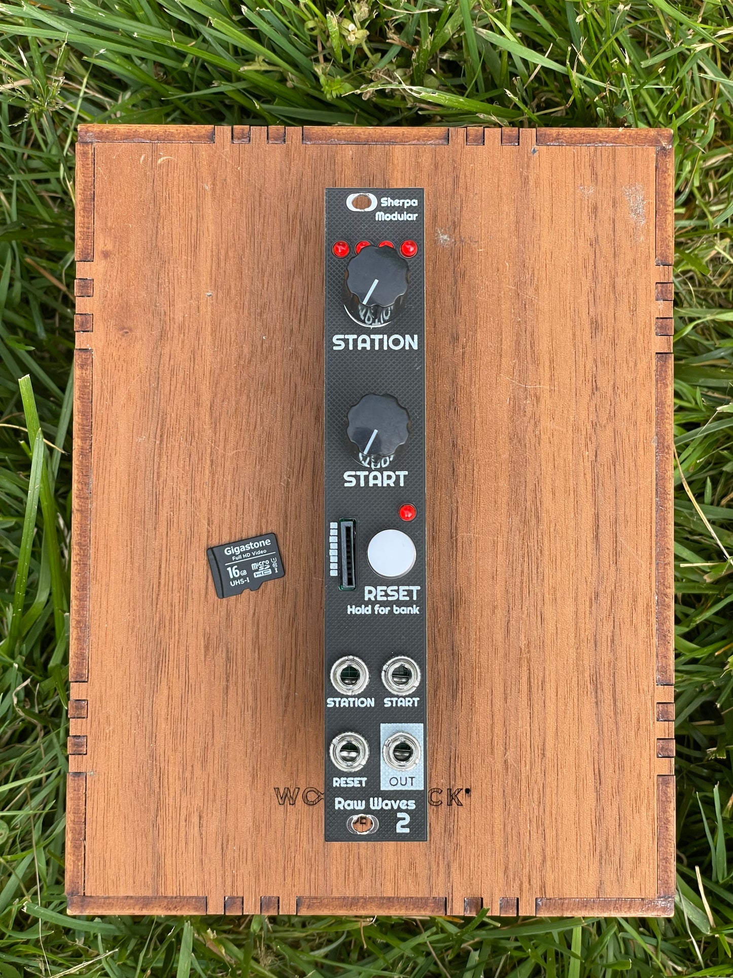 Raw Waves v2 Eurorack sample player module, 3U black panel, front view